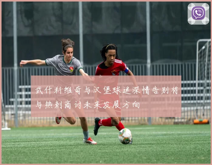 武什科维奇与汉堡球迷深情告别将与热刺商讨未来发展方向